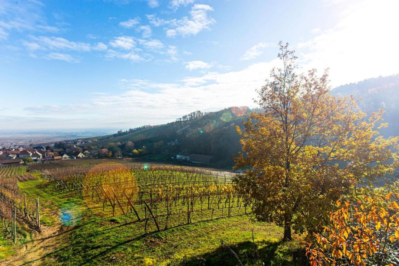 Gite La Rodernelle - Sauna Privatif - Climatisation - Vue Sur Le Chateau Du Haut Koenigsbourg Εξωτερικό φωτογραφία