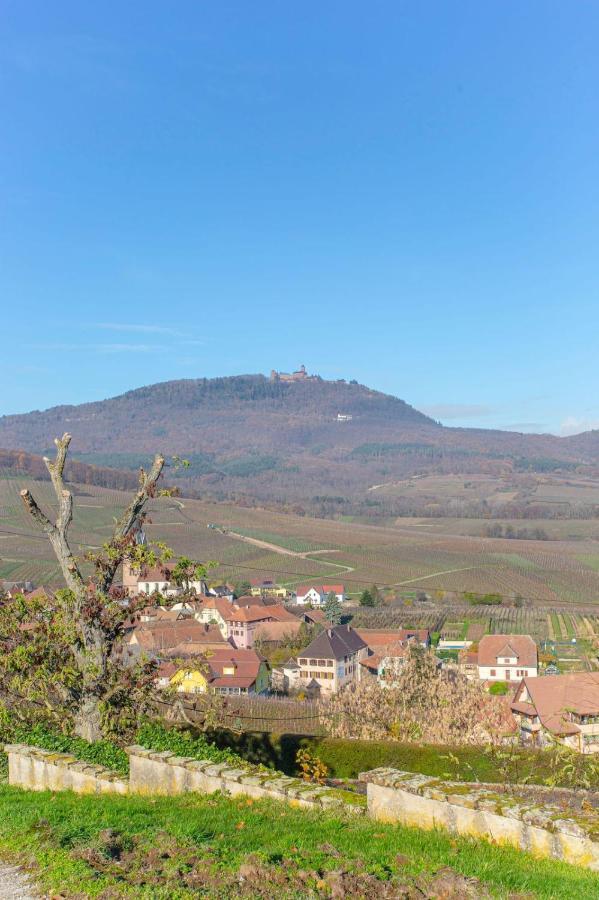 Gite La Rodernelle - Sauna Privatif - Climatisation - Vue Sur Le Chateau Du Haut Koenigsbourg Εξωτερικό φωτογραφία