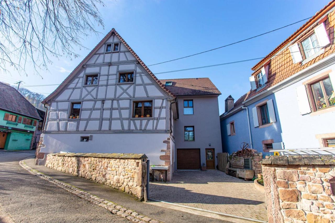 Gite La Rodernelle - Sauna Privatif - Climatisation - Vue Sur Le Chateau Du Haut Koenigsbourg Εξωτερικό φωτογραφία